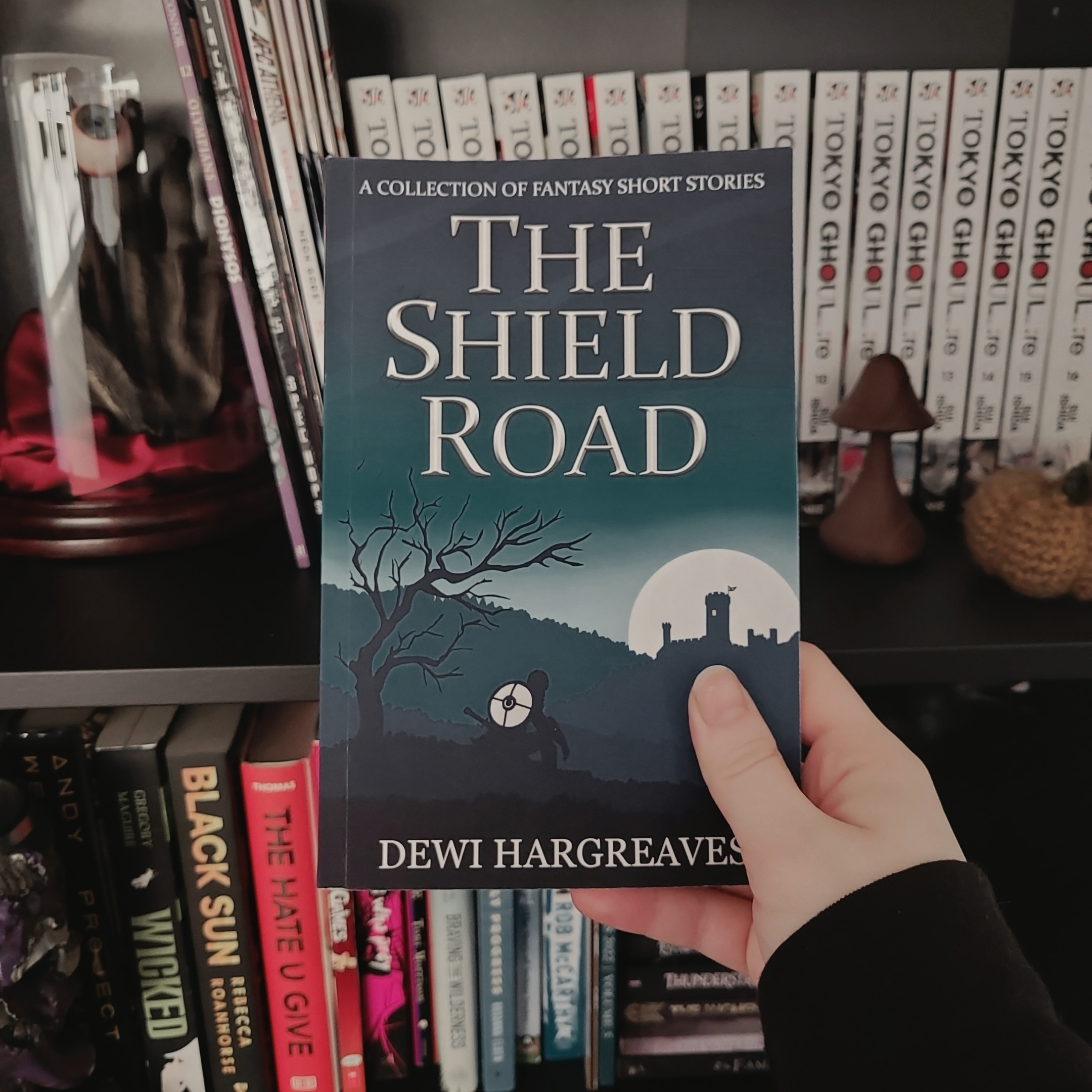 Book Review: The Shield Road by Dewi Hargreaves